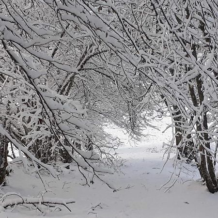 Апартаменти La Belle Vue Сен-Клод Екстер'єр фото